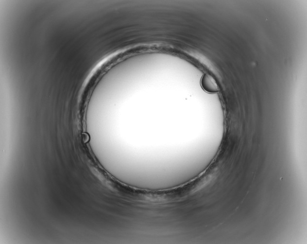 X0000086040927200704091148