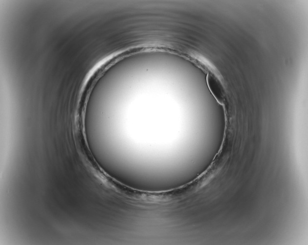X0000086040928200704091148