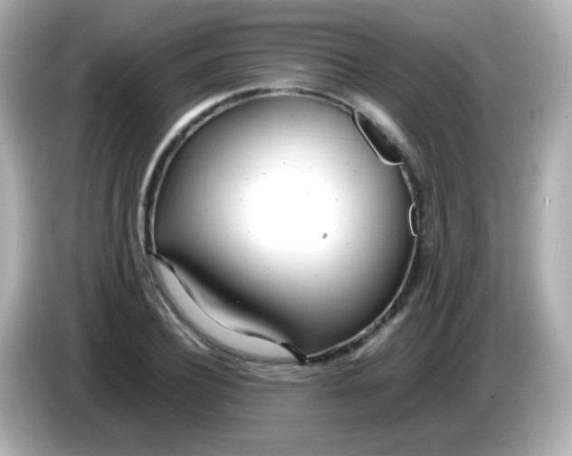 X0000086040932200704091148