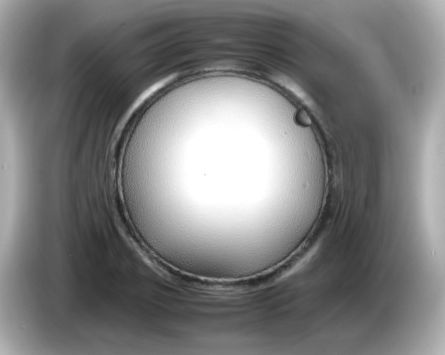 X0000086040933200704091148