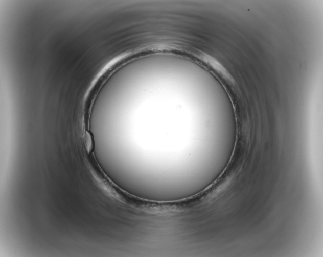 X0000086040934200704091148