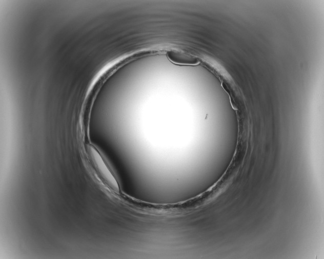 X0000086040936200704091148