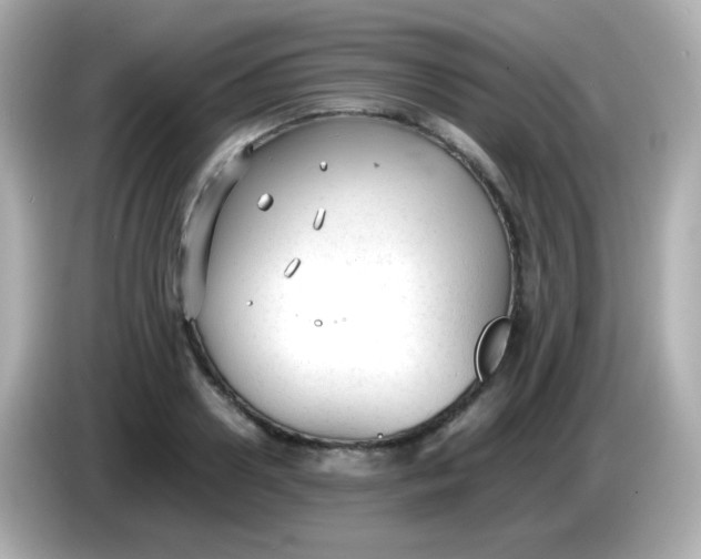 X0000086040938200704091148
