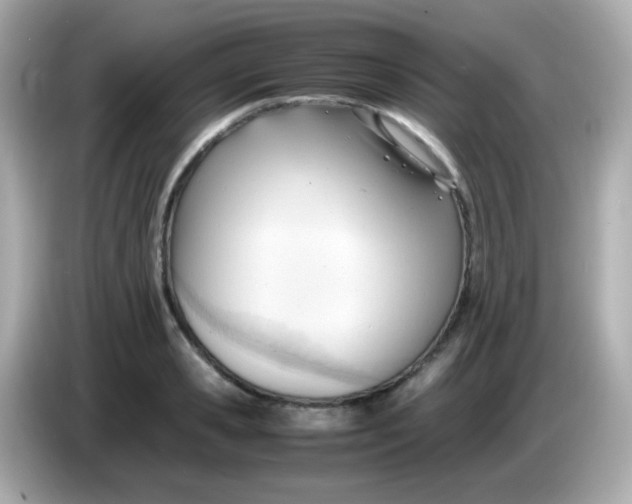 X0000086040941200704091148