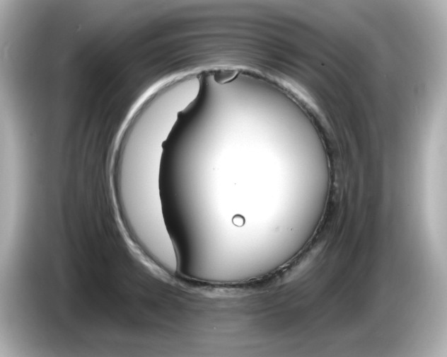 X0000086040942200704091148