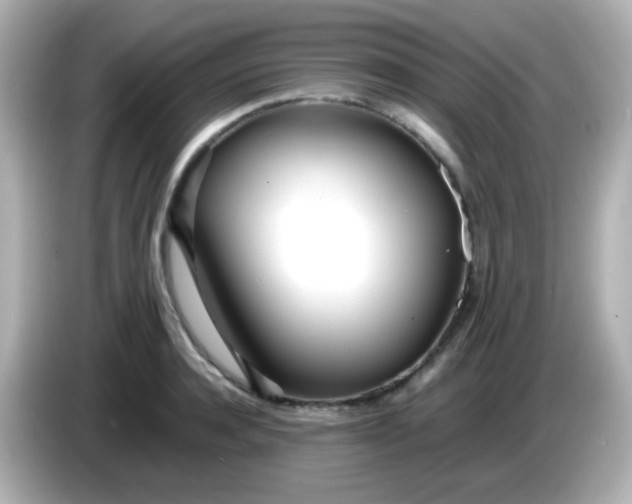 X0000086040944200704091148