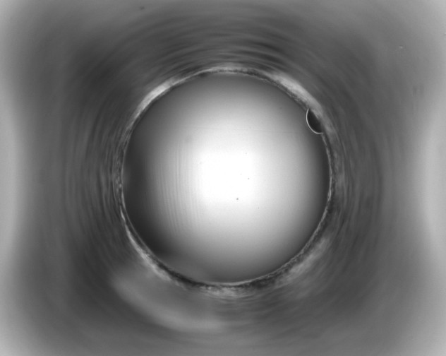 X0000086040945200704091148