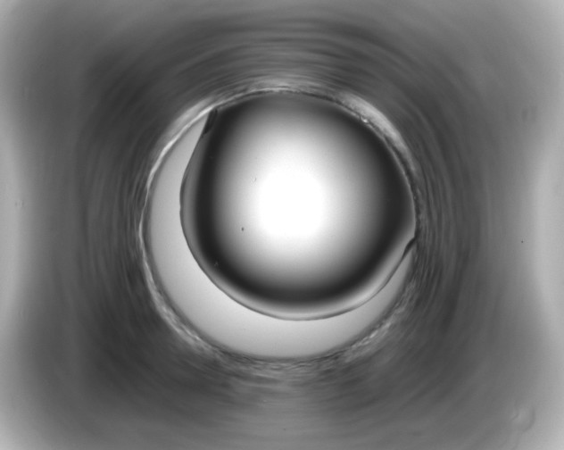 X0000086040946200704091148