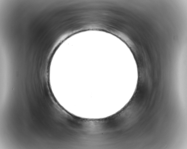 X0000086040950200704091148