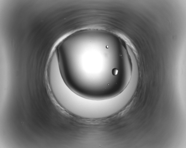 X0000086040952200704091148