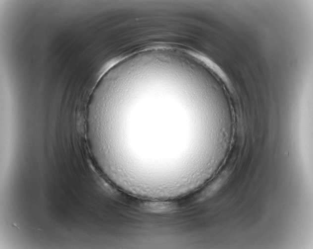 X0000086040953200704091148
