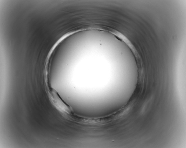 X0000086040955200704091148