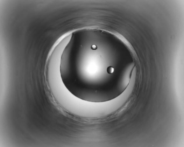 X0000086040956200704091148