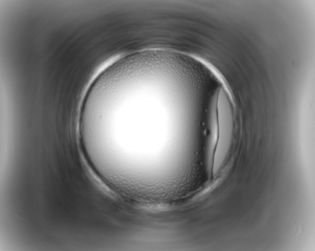 X0000086040957200704091148