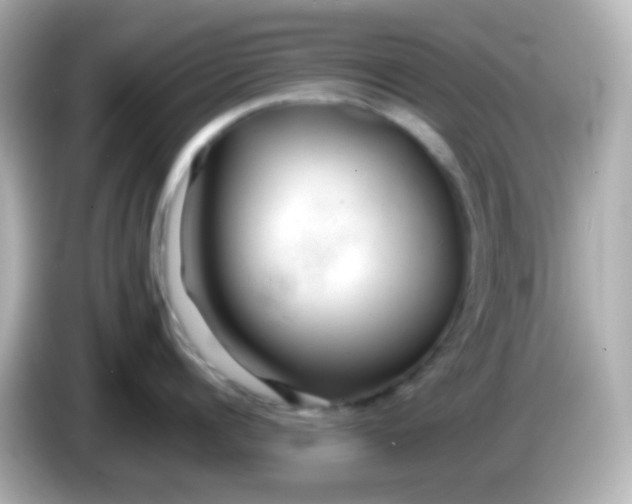 X0000086040960200704091148
