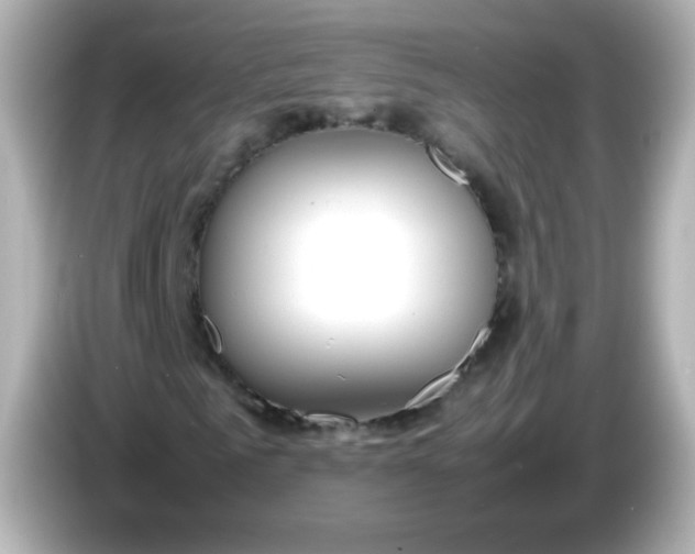 X0000086040961200704091148