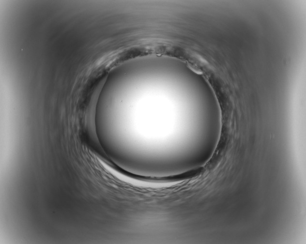 X0000086040965200704091147
