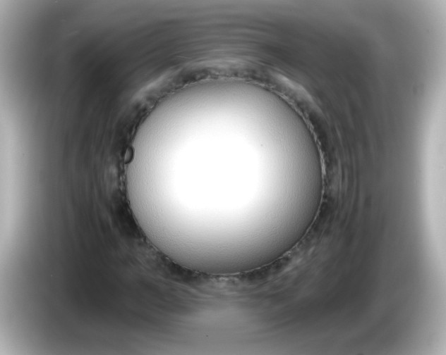 X0000086040966200704091147