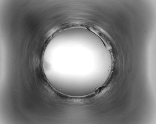 X0000086040969200704091147