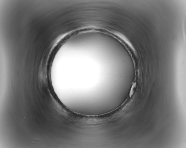 X0000086040972200704091147