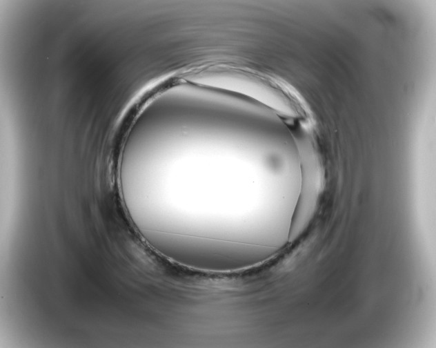 X0000086040973200704091147
