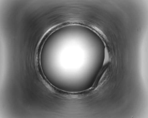 X0000086040976200704091147