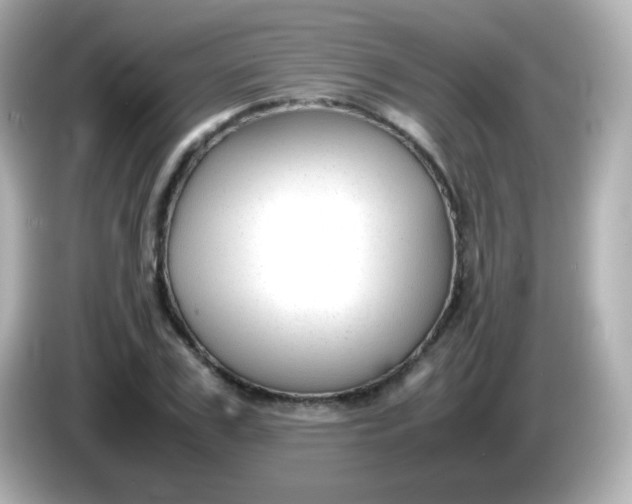 X0000086040979200704091147