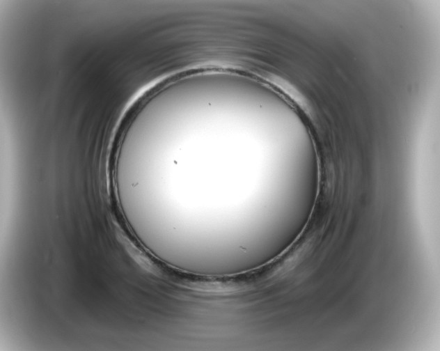 X0000086040980200704091147