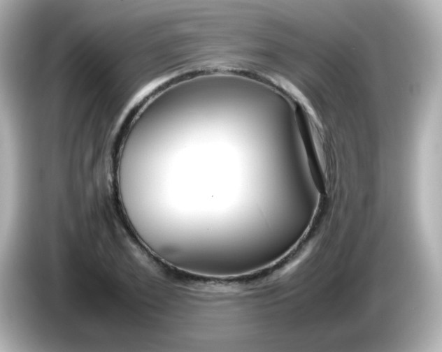 X0000086040981200704091147
