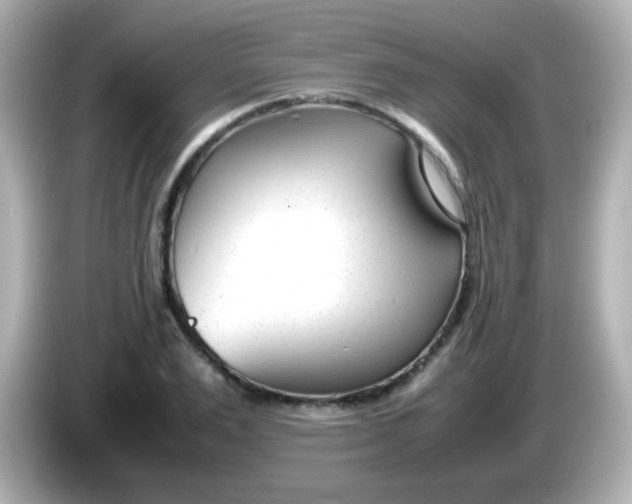 X0000086040983200704091147