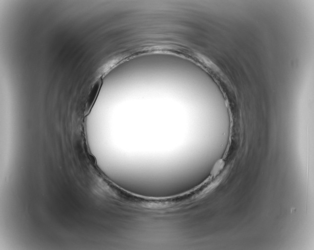 X0000086040985200704091147