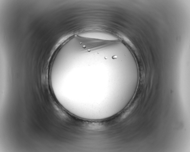 X0000086040986200704091147