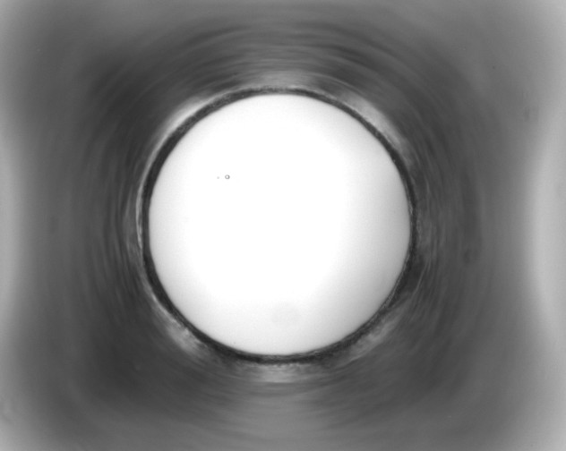 X0000086040988200704091147