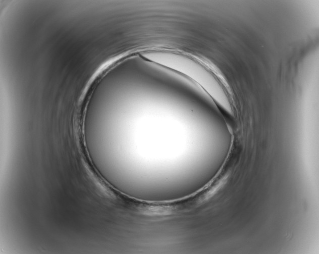 X0000086040989200704091147