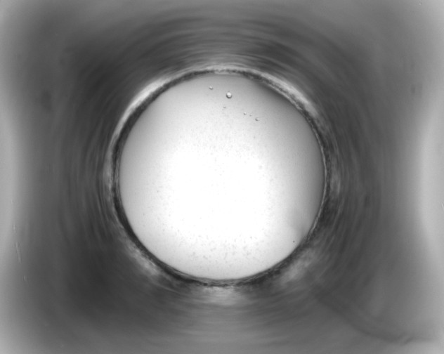 X0000086040990200704091147