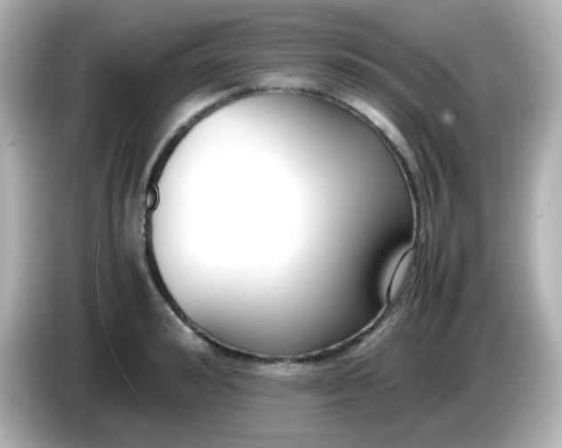 X0000086040992200704091147
