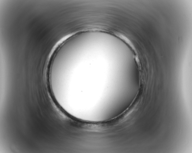 X0000086040995200704091147