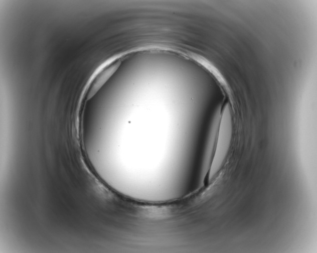 X0000086040996200704091147