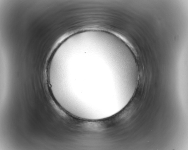 X0000086040998200704091147