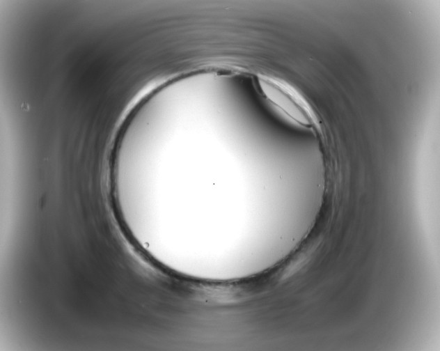 X0000086040999200704091147