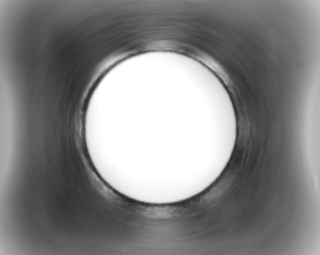 X0000086041000200704091147