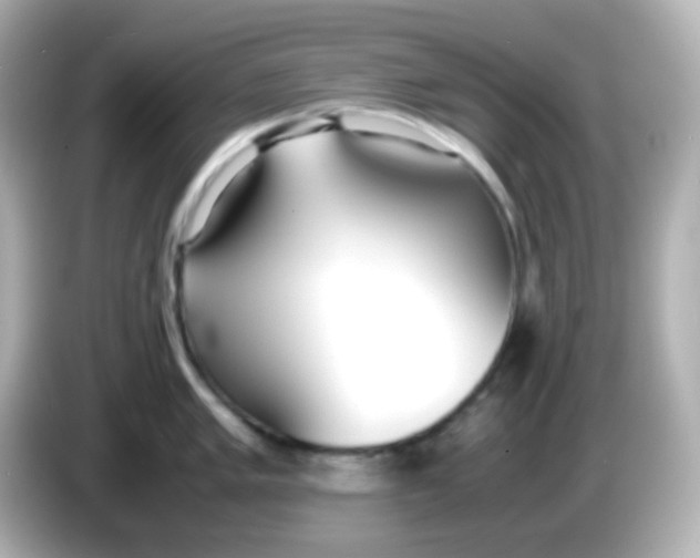 X0000086041005200704091147