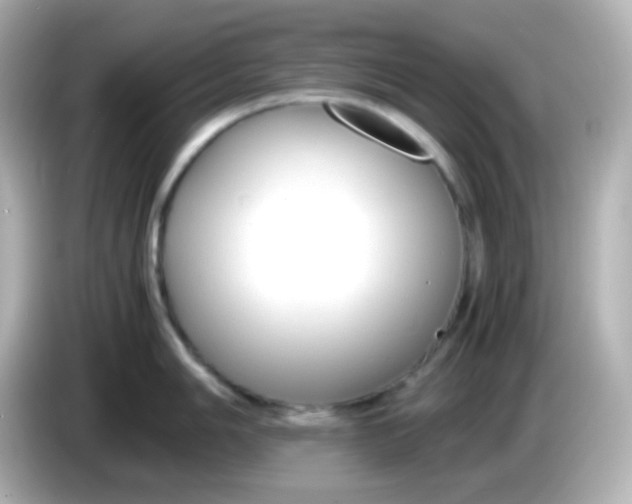 X0000086041006200704091147