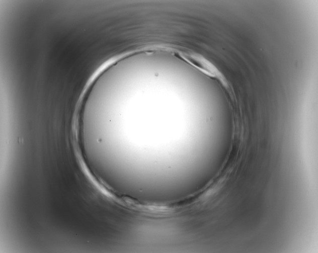 X0000086041007200704091147