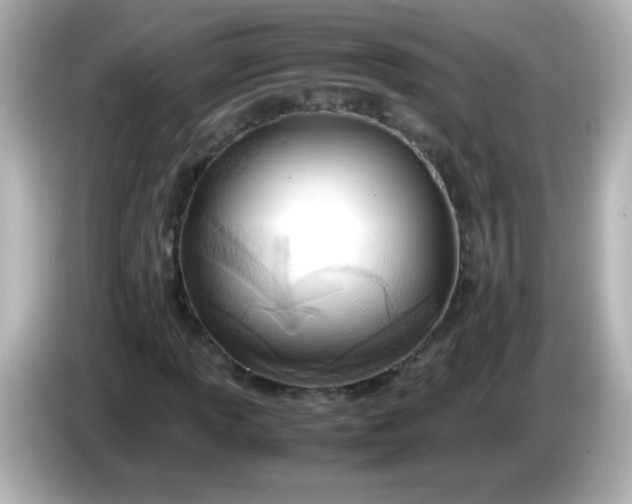 X0000086041013200704091146