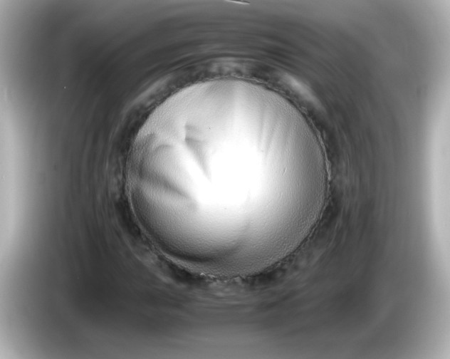 X0000086041015200704091147