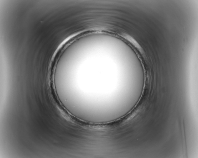 X0000086041020200704091147