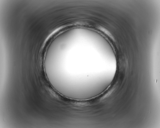 X0000086041021200704091147