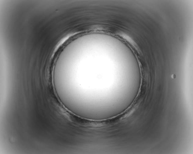 X0000086041023200704091147