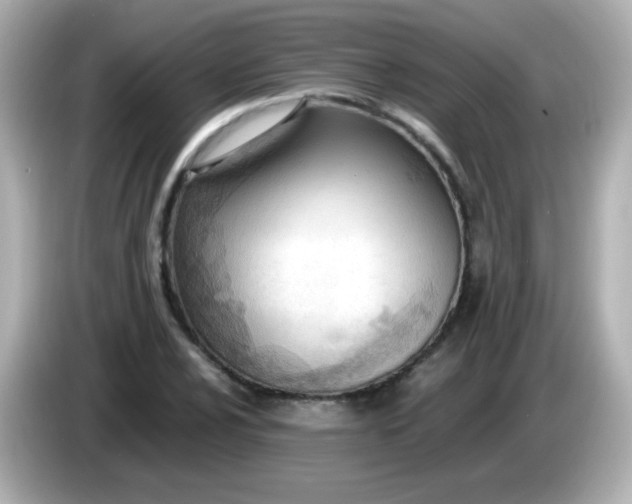 X0000086041024200704091147